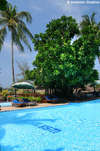 Best Western Phuket Ocean Resort 